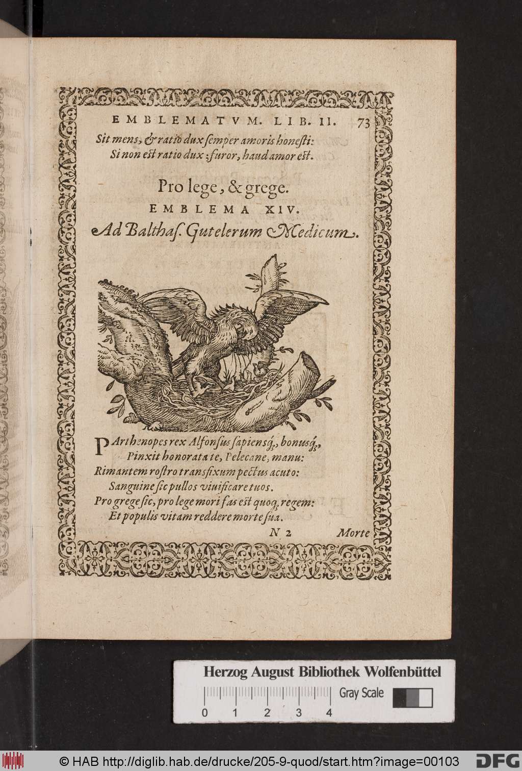 http://diglib.hab.de/drucke/205-9-quod/00103.jpg