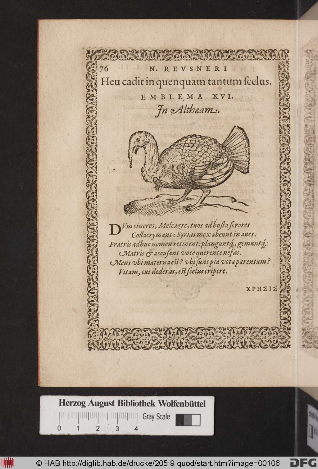 http://diglib.hab.de/drucke/205-9-quod/00106.jpg