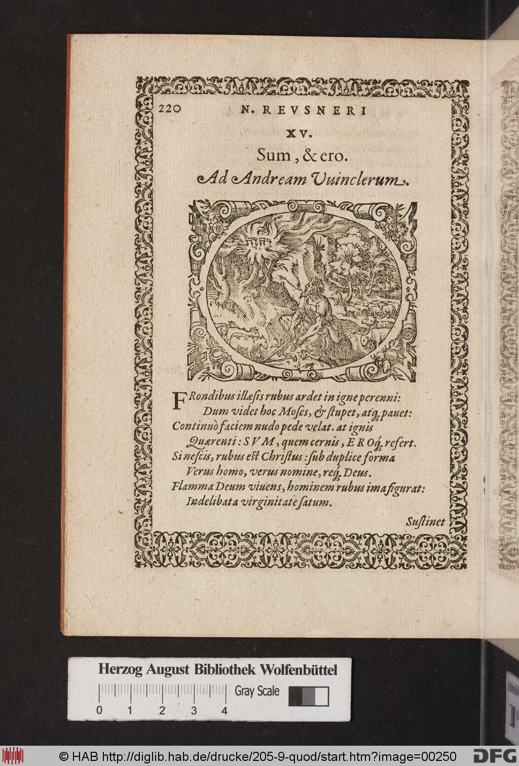 http://diglib.hab.de/drucke/205-9-quod/00250.jpg