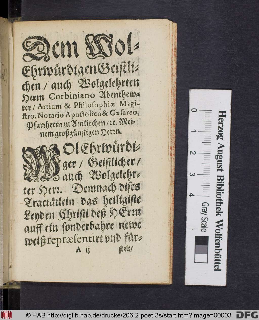 http://diglib.hab.de/drucke/206-2-poet-3s/00003.jpg