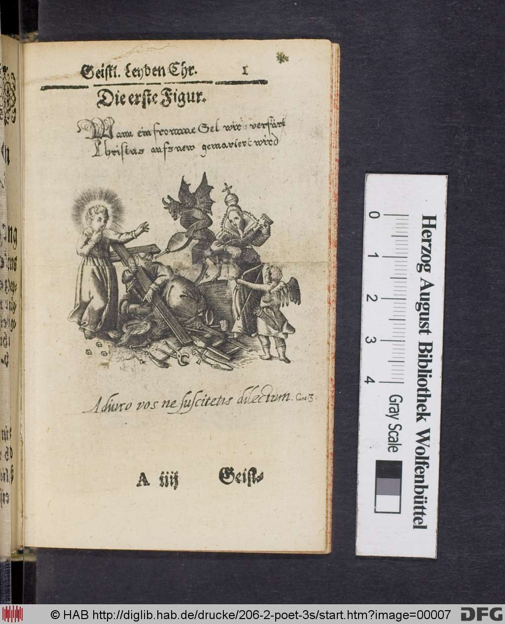 http://diglib.hab.de/drucke/206-2-poet-3s/00007.jpg