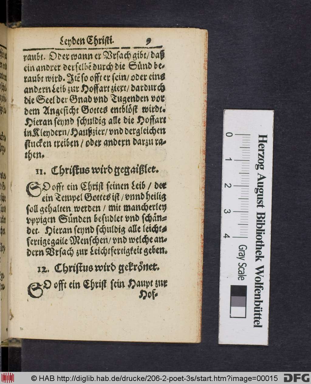 http://diglib.hab.de/drucke/206-2-poet-3s/00015.jpg
