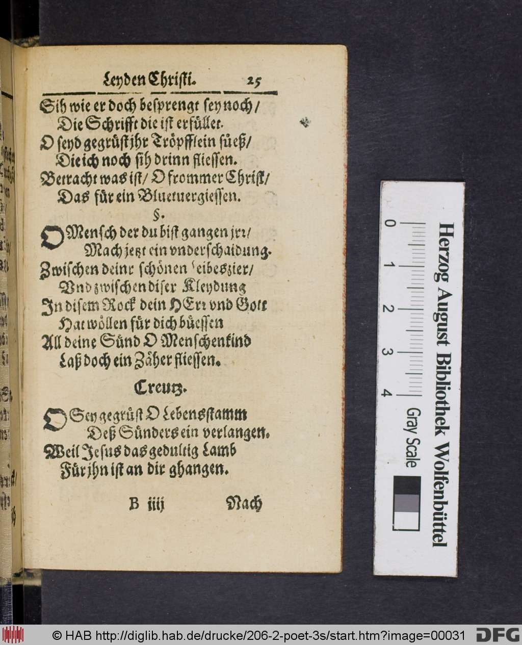 http://diglib.hab.de/drucke/206-2-poet-3s/00031.jpg