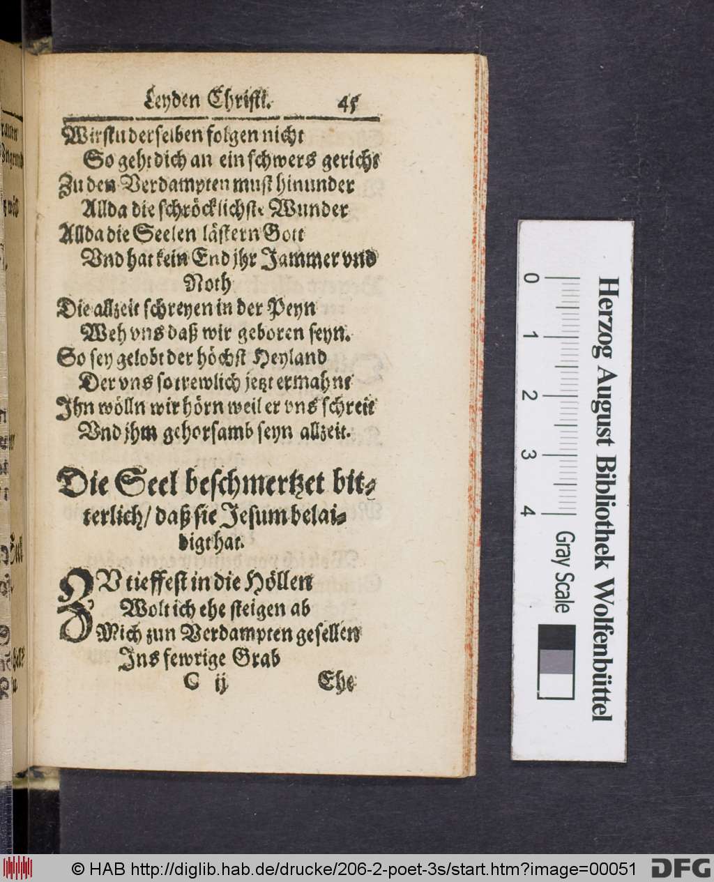 http://diglib.hab.de/drucke/206-2-poet-3s/00051.jpg