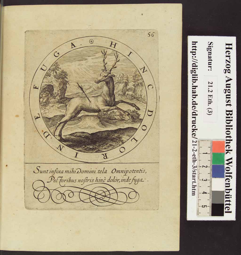 http://diglib.hab.de/drucke/21-2-eth-2/00115.jpg