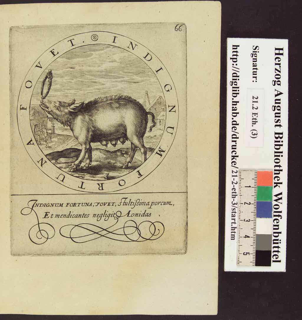 http://diglib.hab.de/drucke/21-2-eth-2/00135.jpg