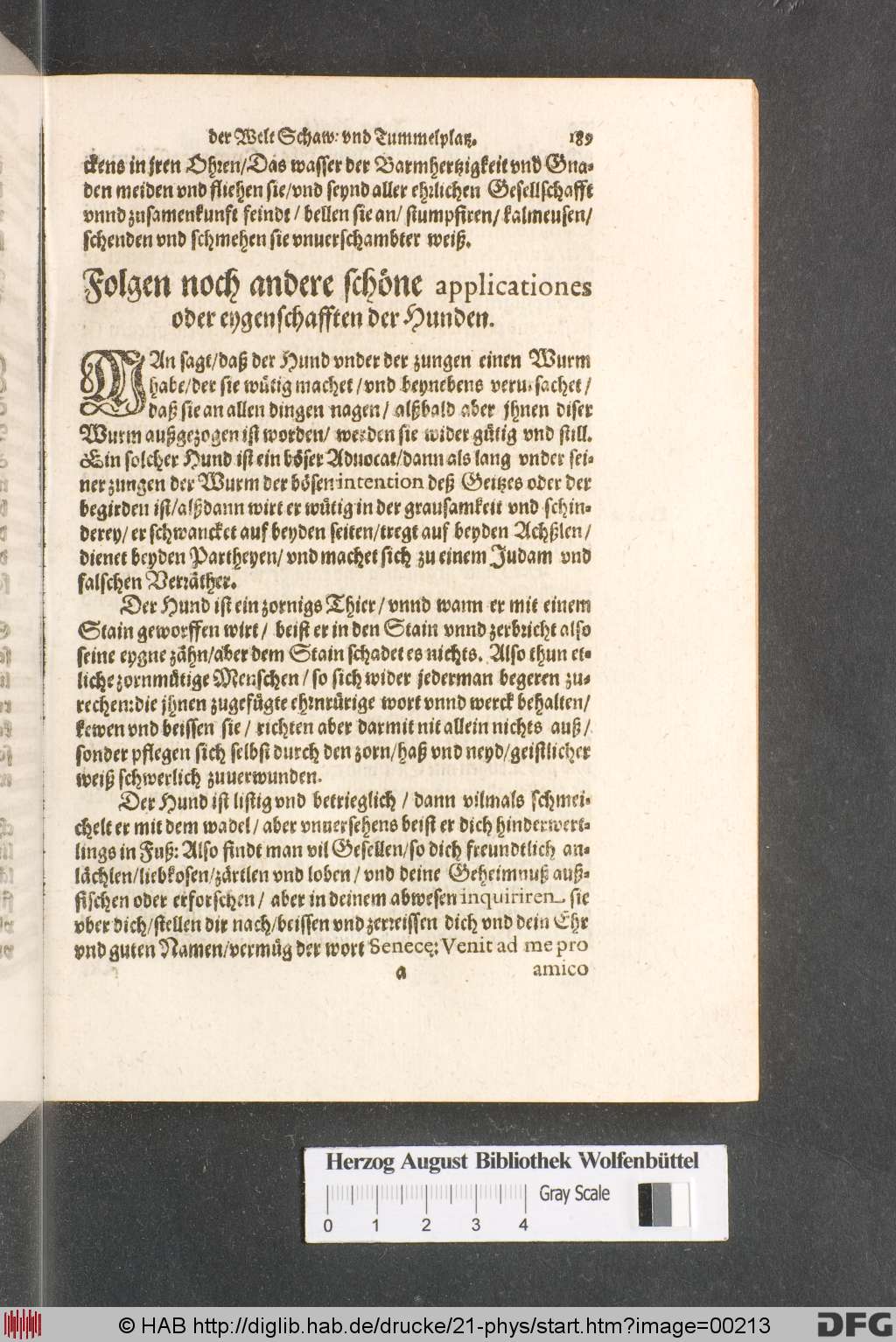 http://diglib.hab.de/drucke/21-phys/00213.jpg