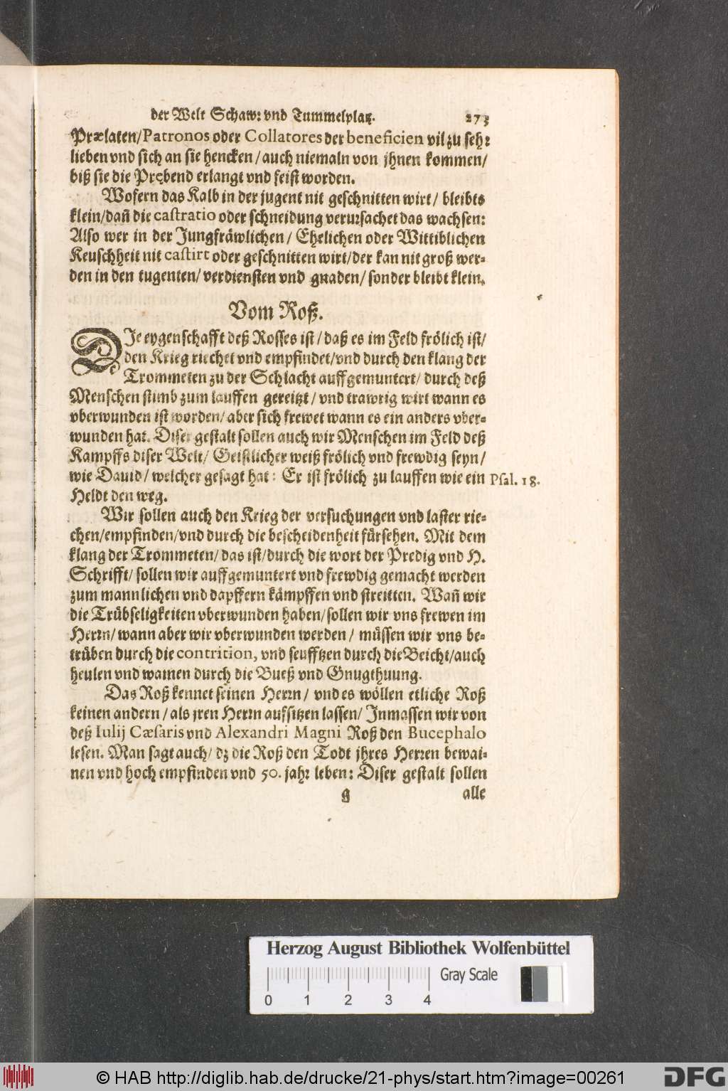 http://diglib.hab.de/drucke/21-phys/00261.jpg