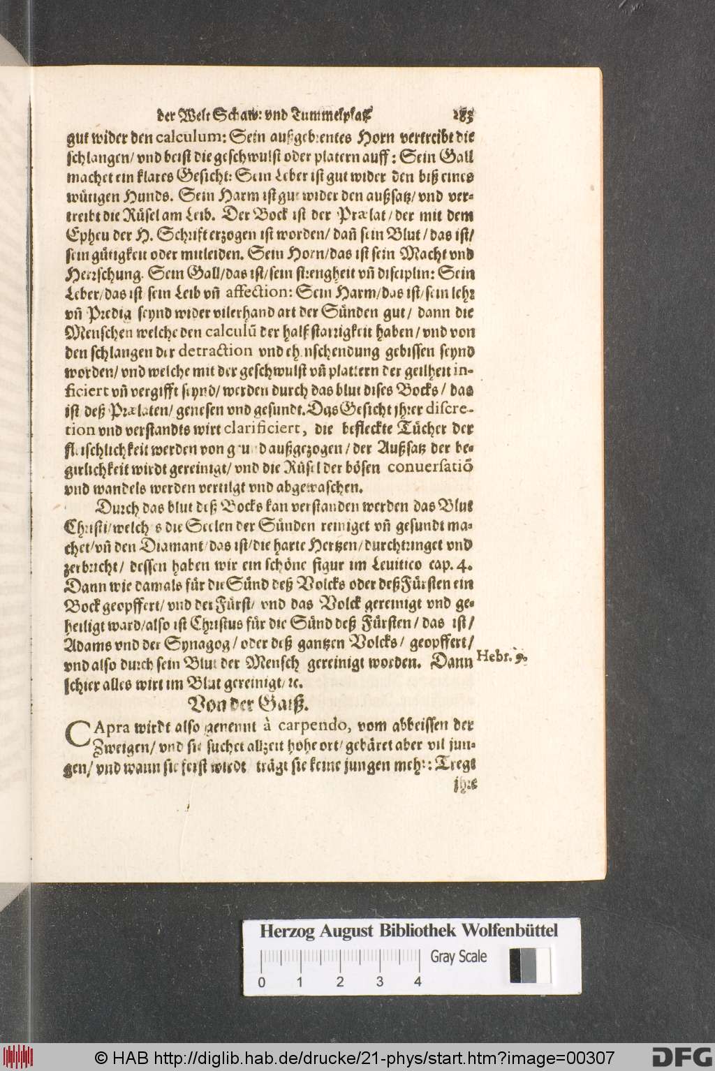 http://diglib.hab.de/drucke/21-phys/00307.jpg