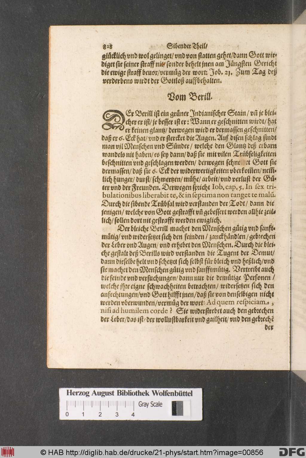 http://diglib.hab.de/drucke/21-phys/00856.jpg