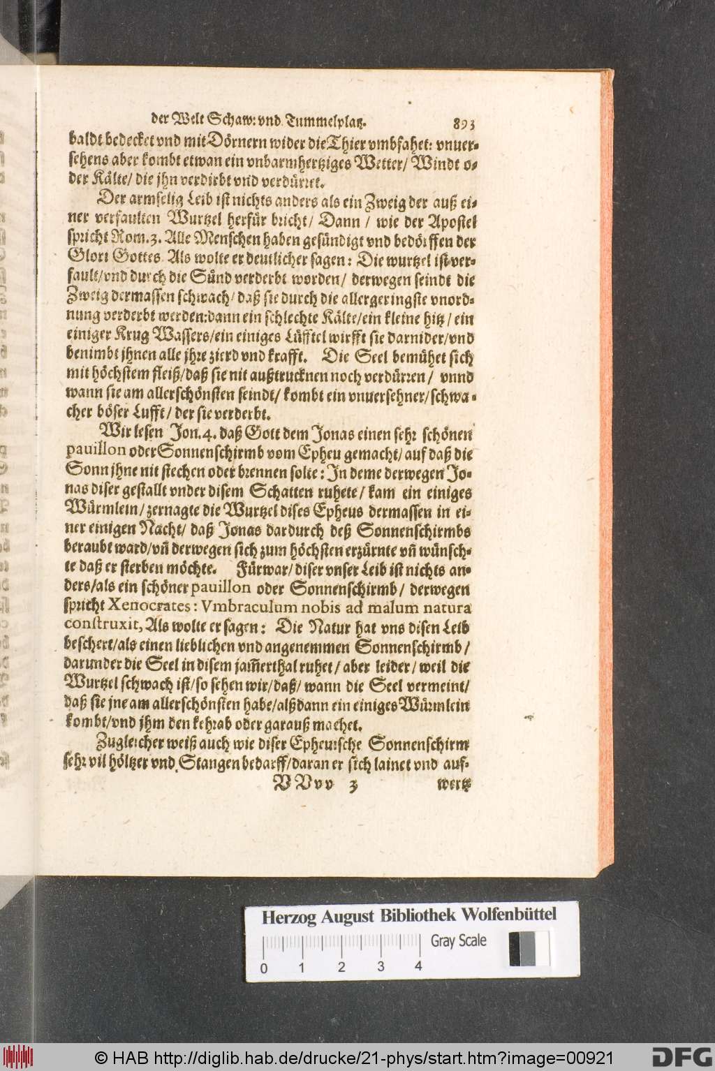 http://diglib.hab.de/drucke/21-phys/00921.jpg