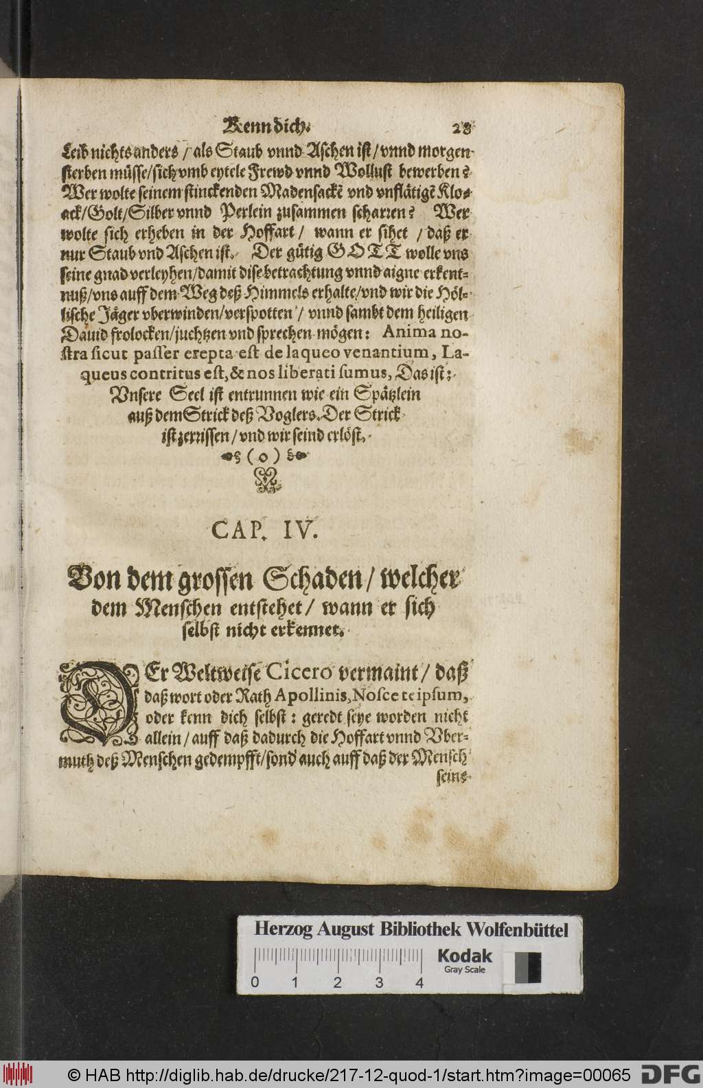 http://diglib.hab.de/drucke/217-12-quod-1/00065.jpg