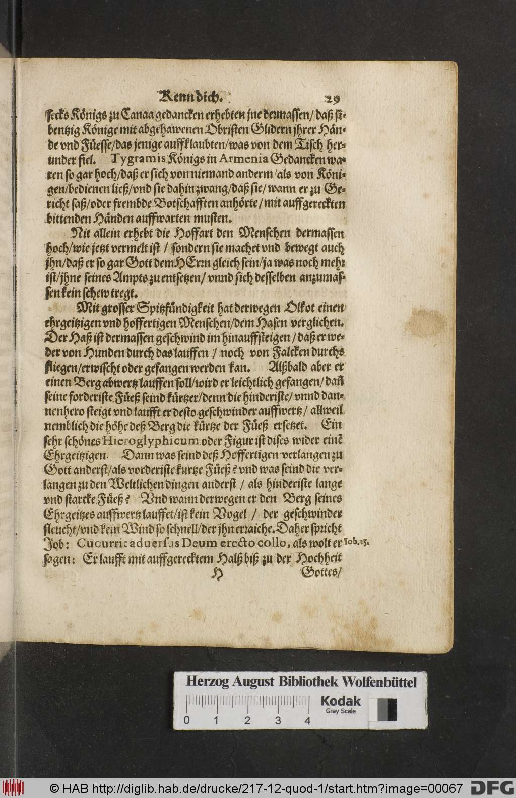 http://diglib.hab.de/drucke/217-12-quod-1/00067.jpg