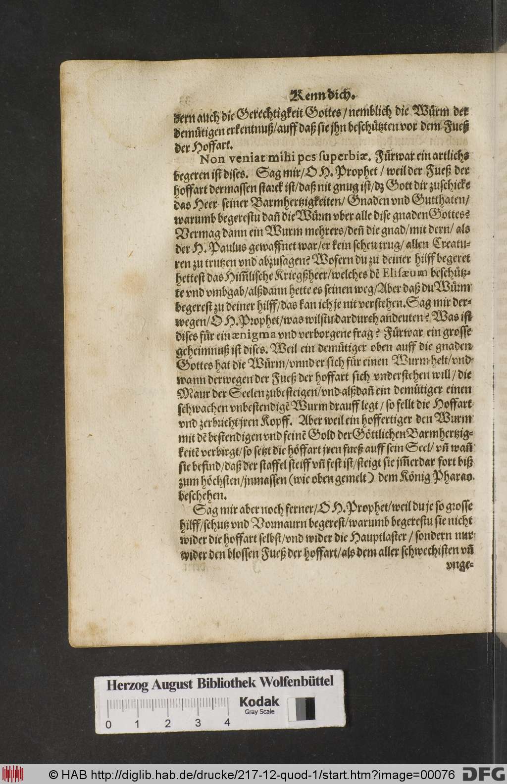 http://diglib.hab.de/drucke/217-12-quod-1/00076.jpg