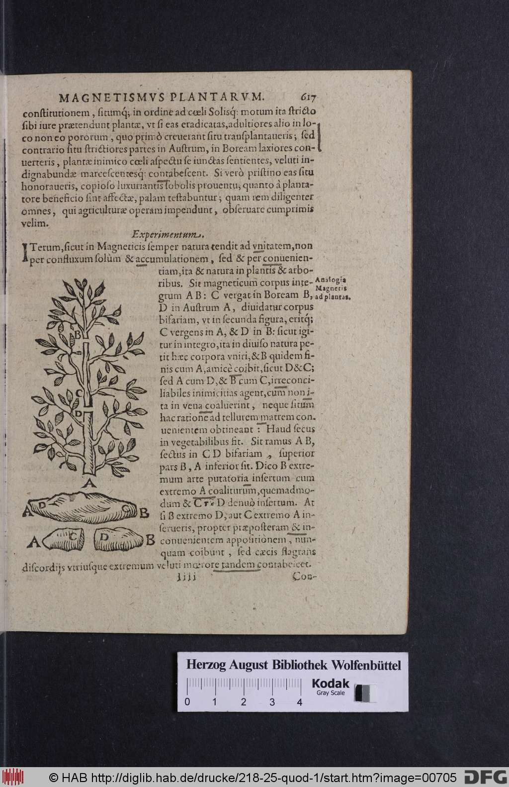 http://diglib.hab.de/drucke/218-25-quod-1/00705.jpg
