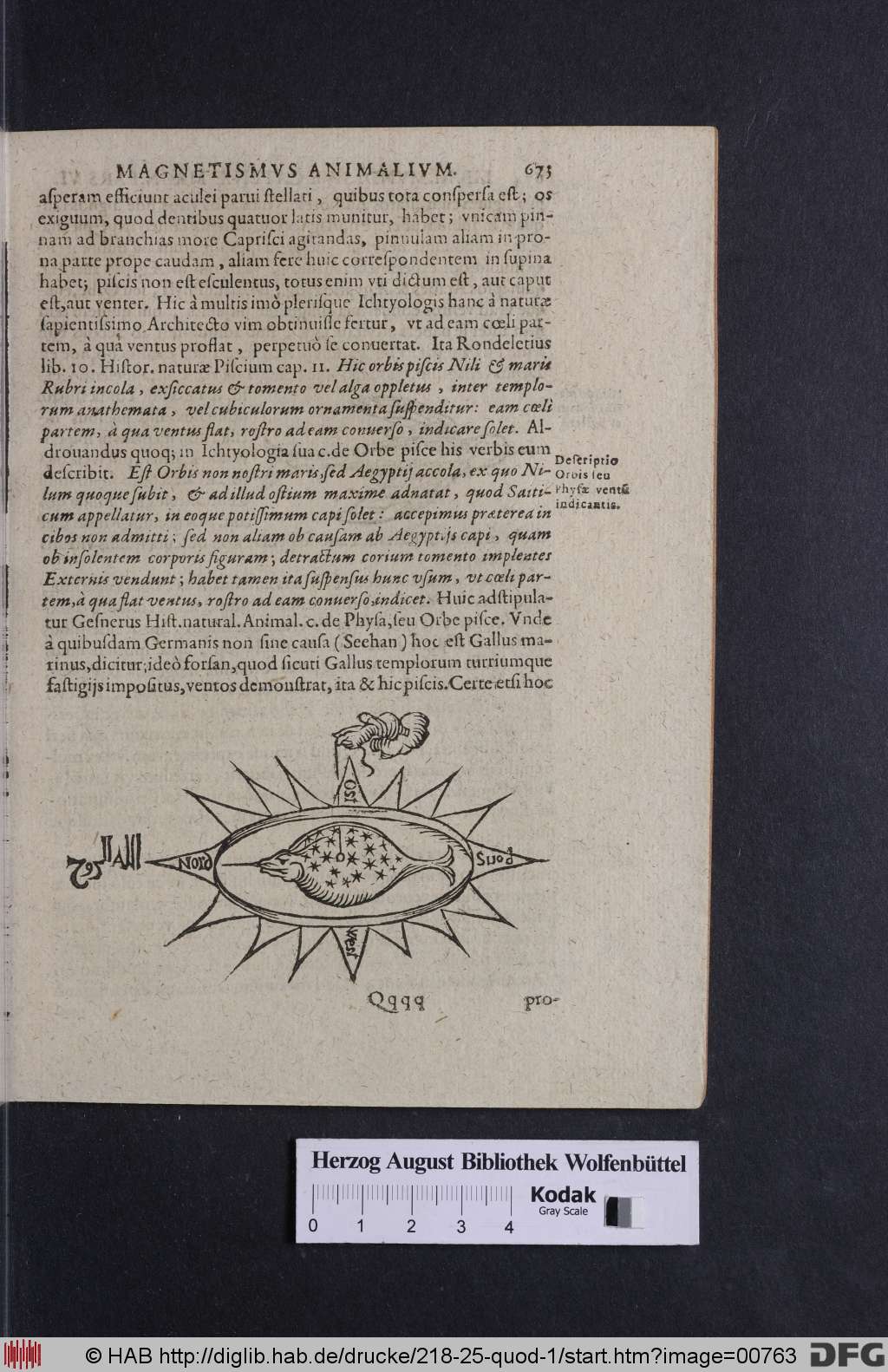 http://diglib.hab.de/drucke/218-25-quod-1/00763.jpg