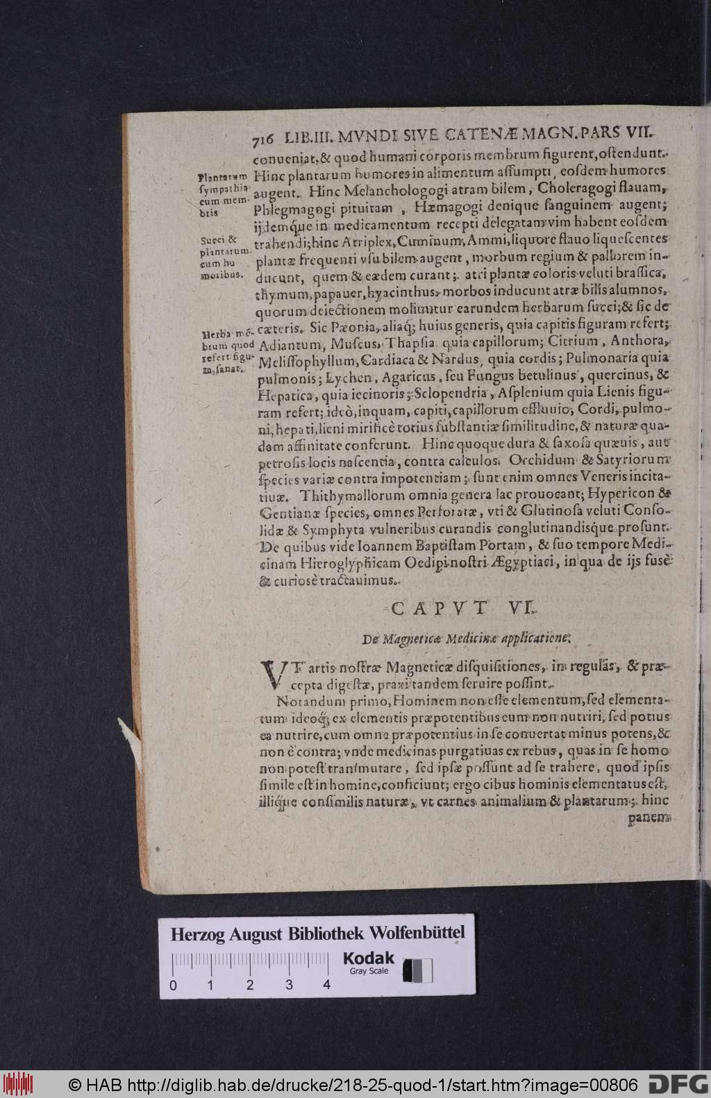 http://diglib.hab.de/drucke/218-25-quod-1/00806.jpg