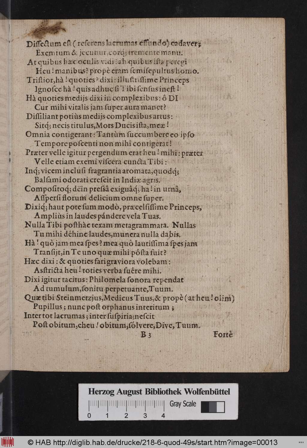 http://diglib.hab.de/drucke/218-6-quod-49s/00013.jpg