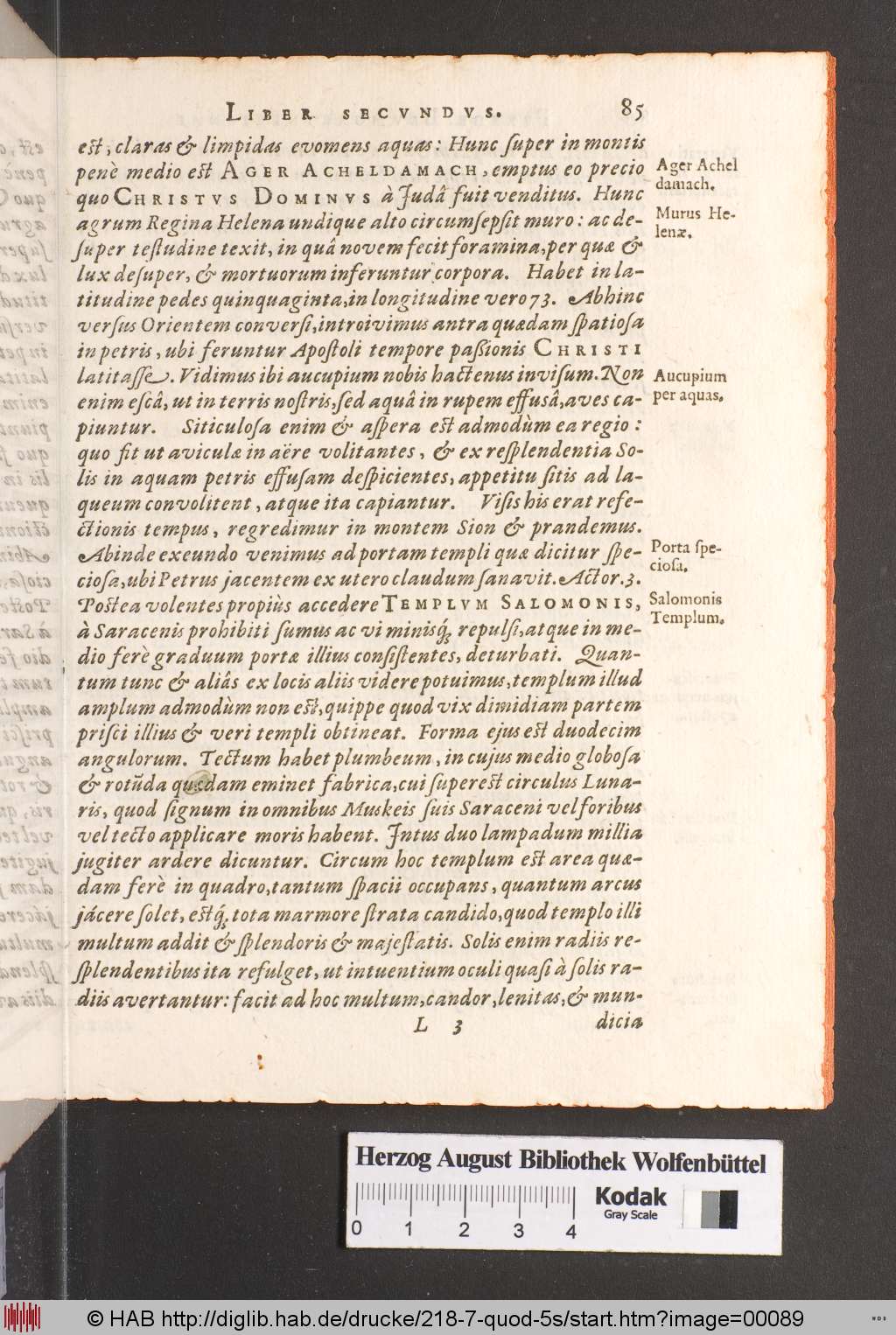 http://diglib.hab.de/drucke/218-7-quod-5s/00089.jpg