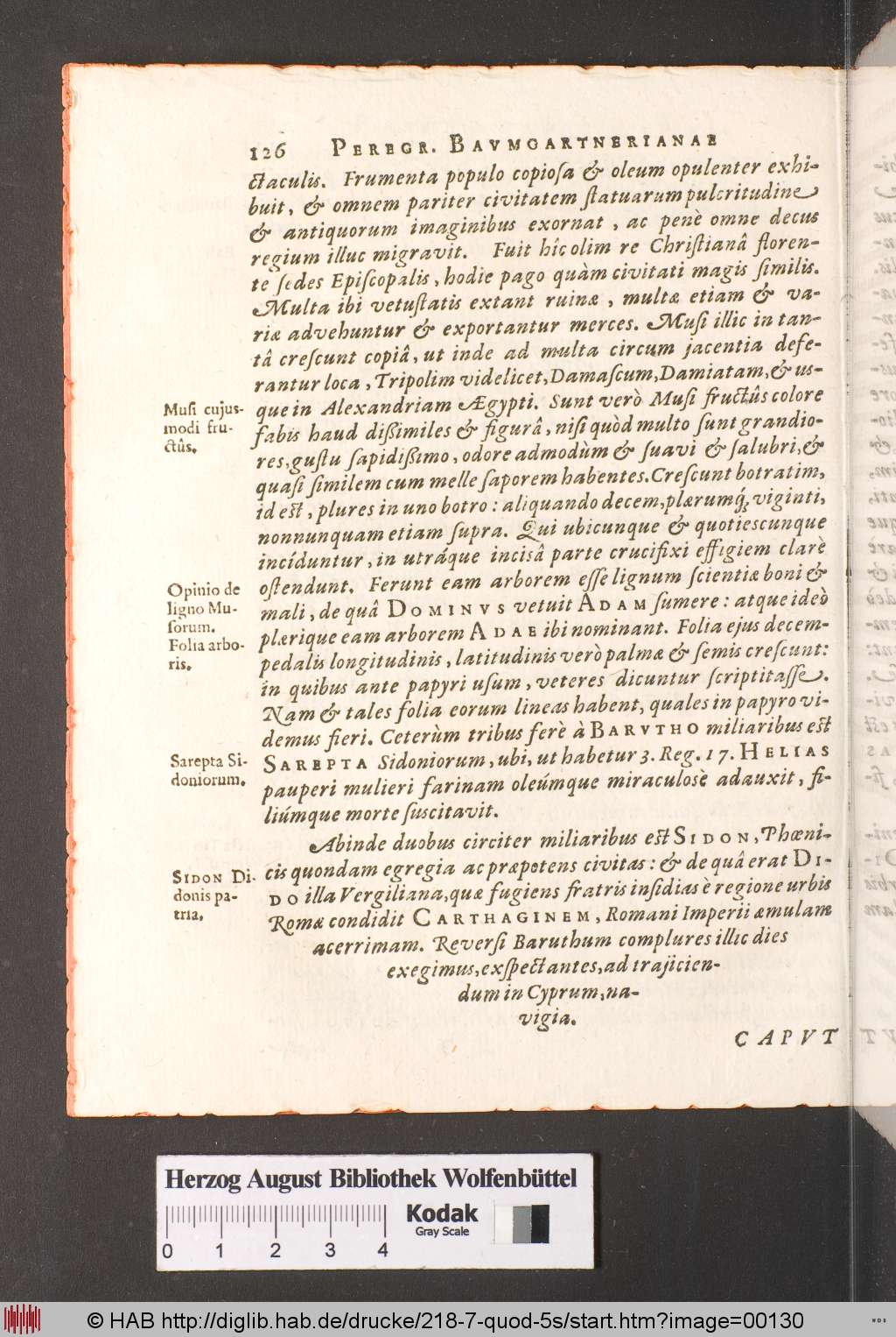 http://diglib.hab.de/drucke/218-7-quod-5s/00130.jpg