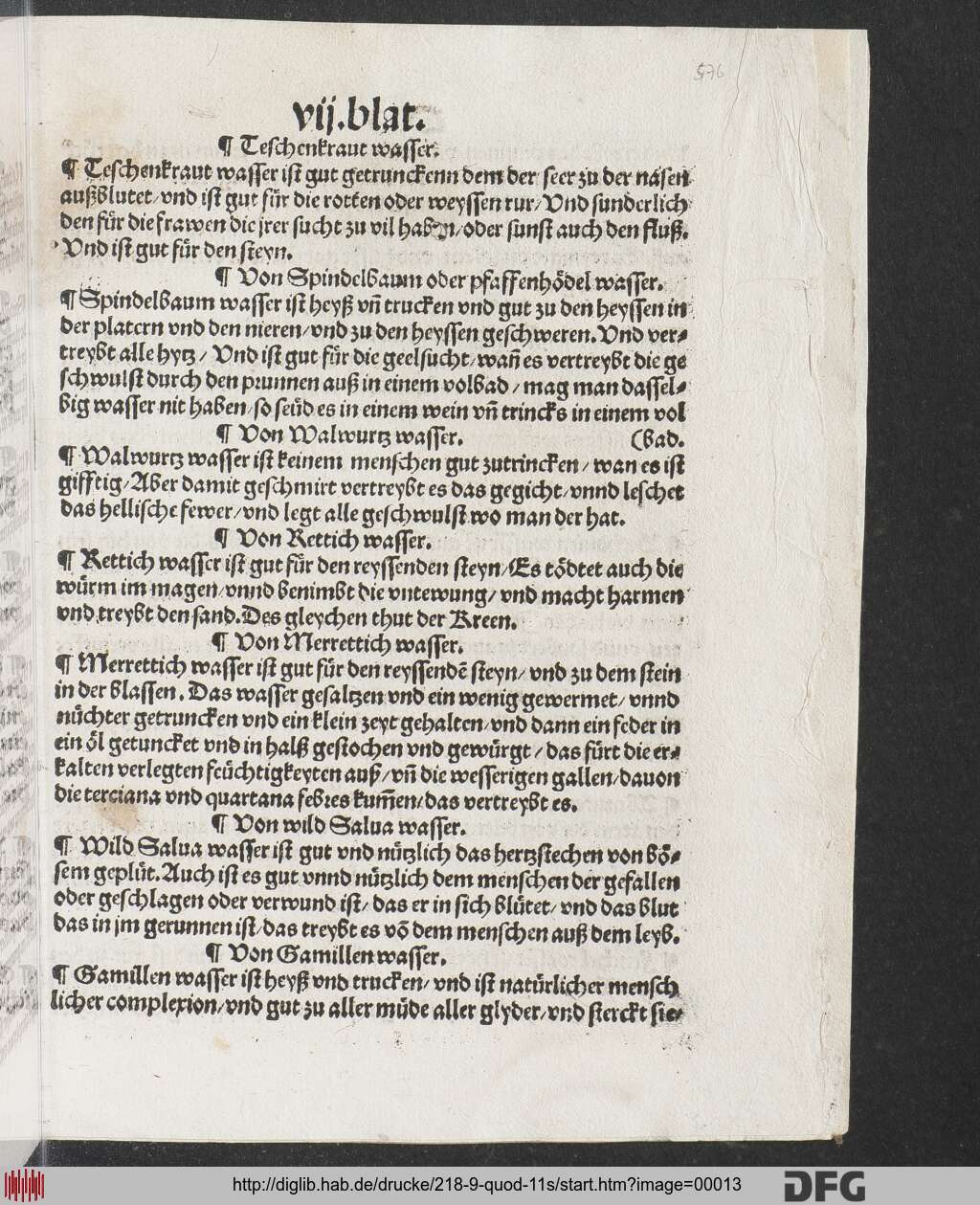 http://diglib.hab.de/drucke/218-9-quod-11s/00013.jpg