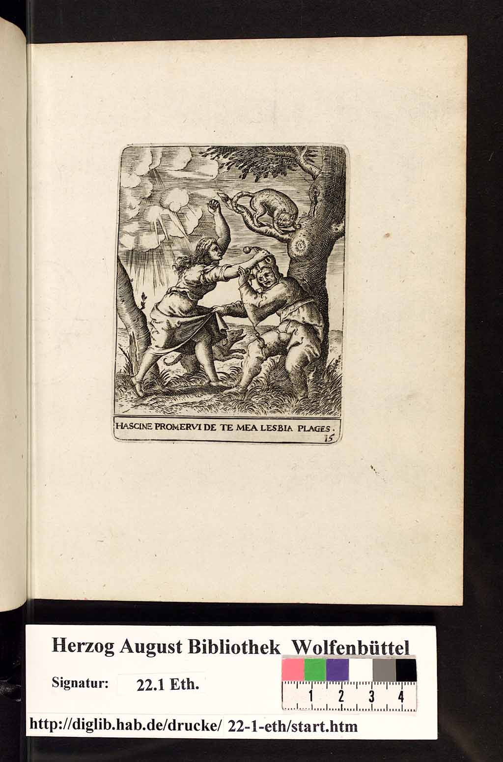 http://diglib.hab.de/drucke/22-1-eth/00117.jpg