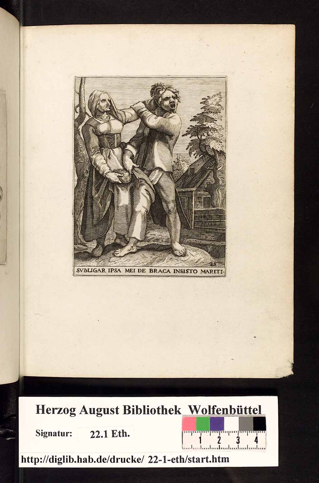 http://diglib.hab.de/drucke/22-1-eth/00169.jpg