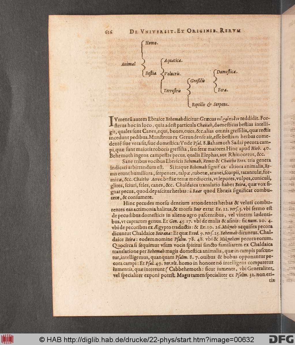 http://diglib.hab.de/drucke/22-phys/00632.jpg