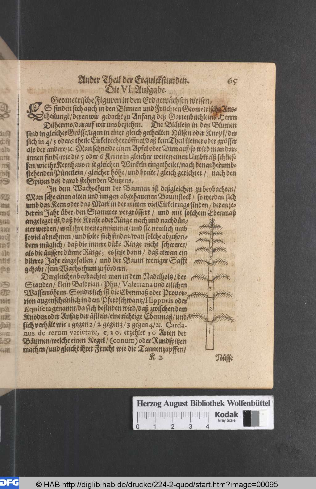 http://diglib.hab.de/drucke/224-2-quod/00095.jpg