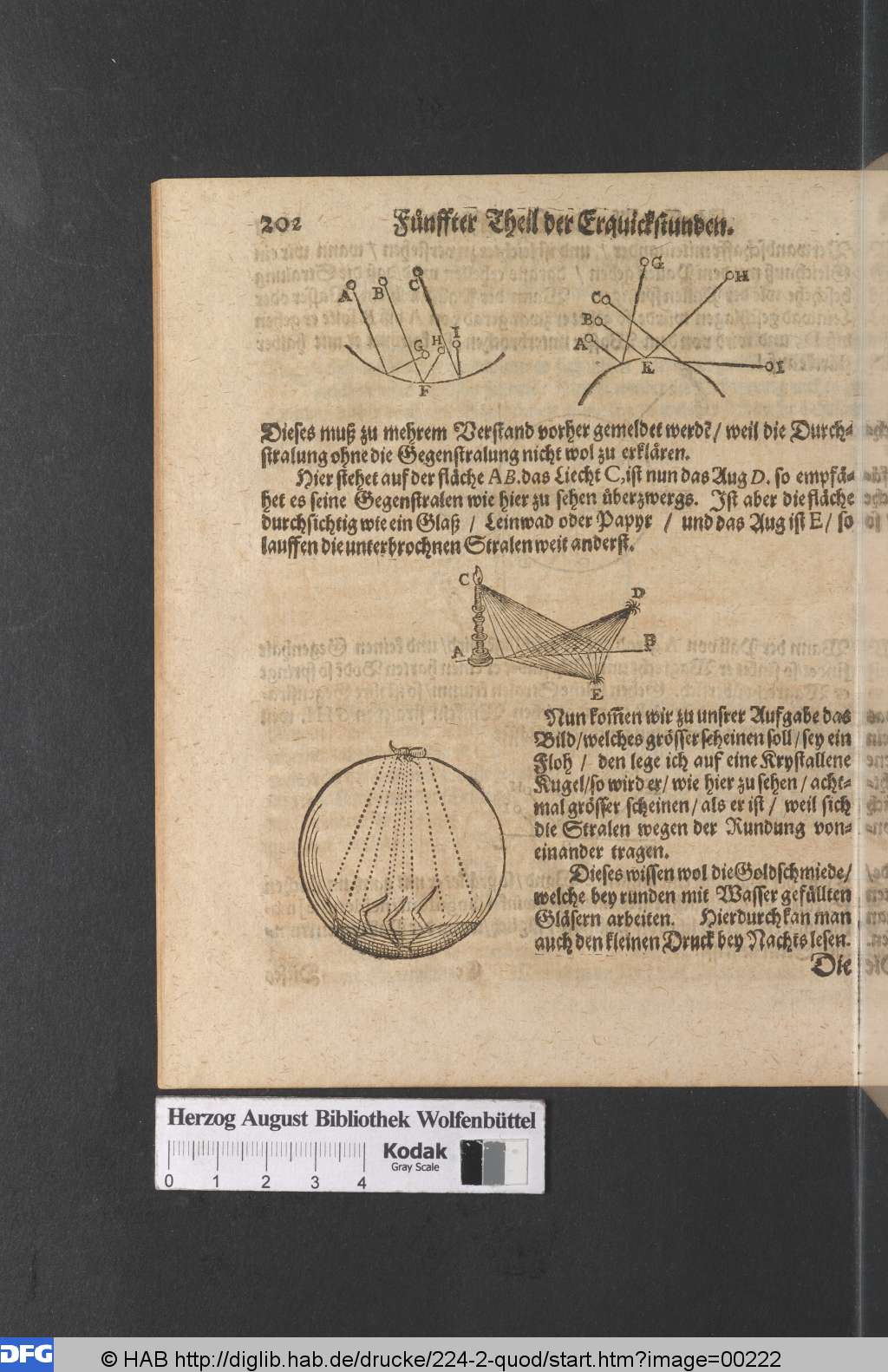 http://diglib.hab.de/drucke/224-2-quod/00222.jpg