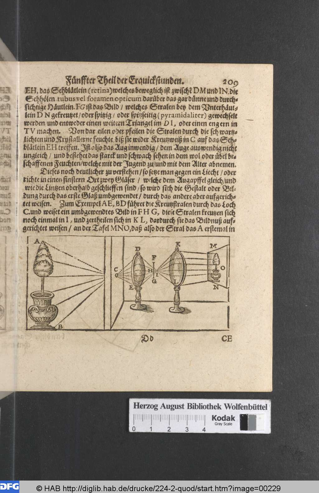 http://diglib.hab.de/drucke/224-2-quod/00229.jpg