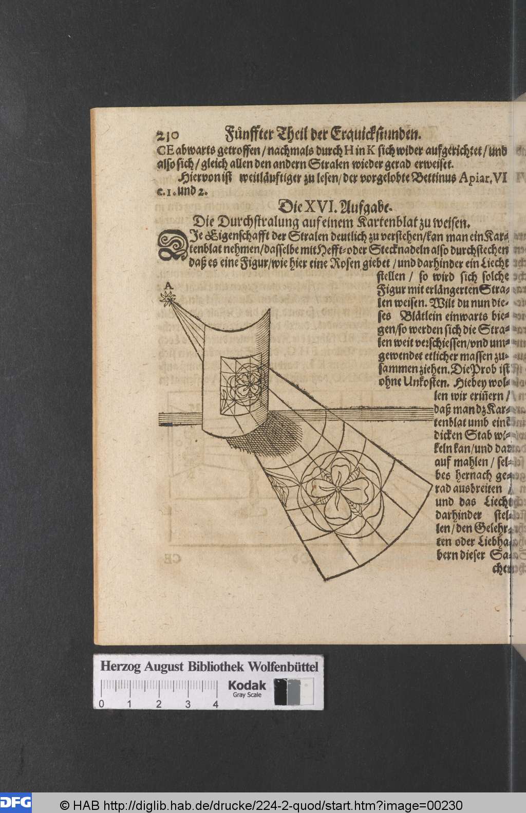 http://diglib.hab.de/drucke/224-2-quod/00230.jpg