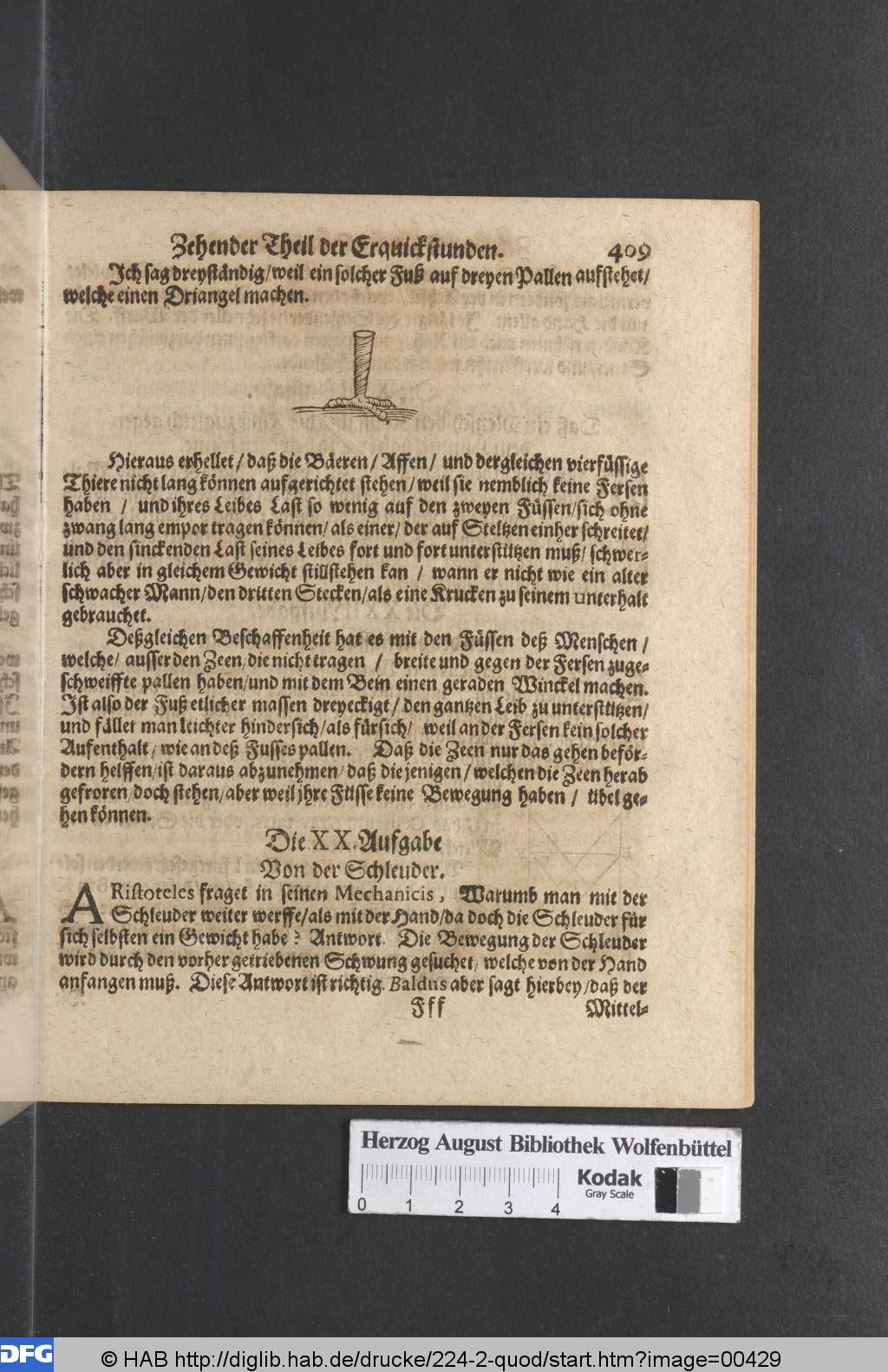 http://diglib.hab.de/drucke/224-2-quod/00429.jpg