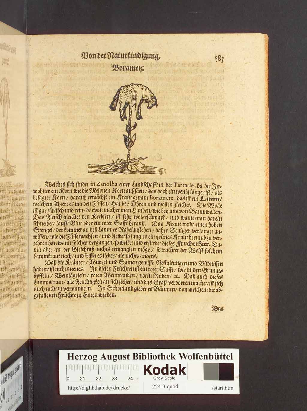 http://diglib.hab.de/drucke/224-3-quod/00605.jpg