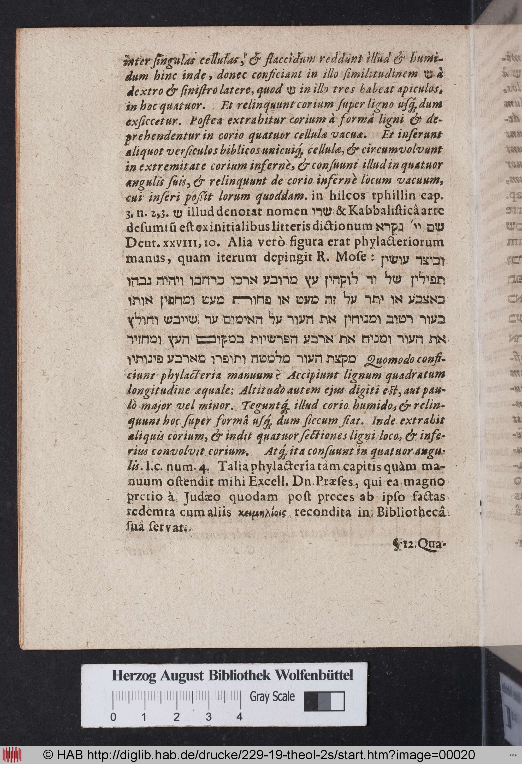 http://diglib.hab.de/drucke/229-19-theol-2s/max/00020.jpg