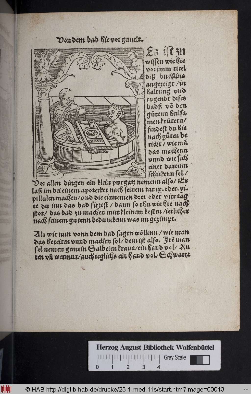 http://diglib.hab.de/drucke/23-1-med-11s/00013.jpg