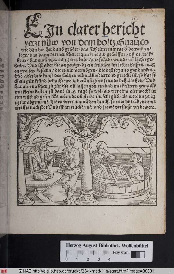 http://diglib.hab.de/drucke/23-1-med-11s/min/00001.jpg