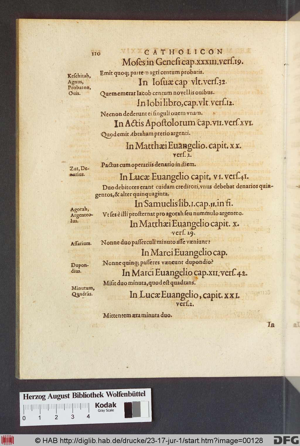 http://diglib.hab.de/drucke/23-17-jur-1/00128.jpg