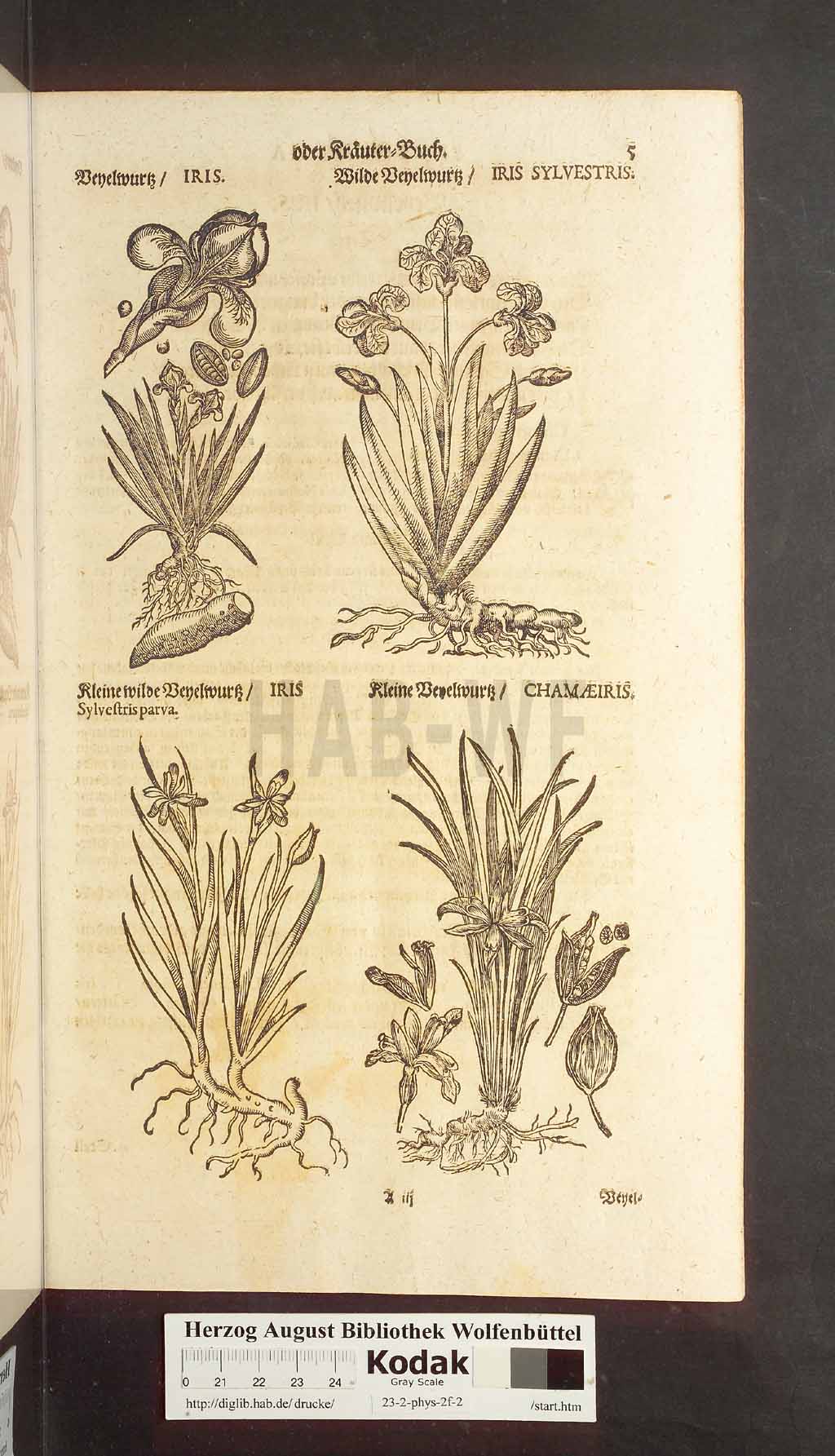 http://diglib.hab.de/drucke/23-2-phys-2f-2/00005.jpg