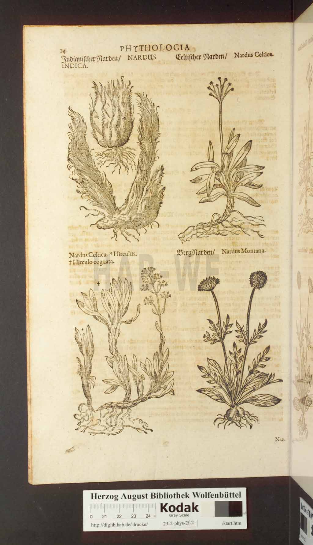 http://diglib.hab.de/drucke/23-2-phys-2f-2/00014.jpg
