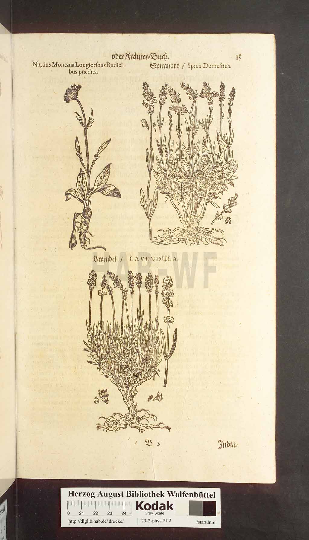 http://diglib.hab.de/drucke/23-2-phys-2f-2/00015.jpg