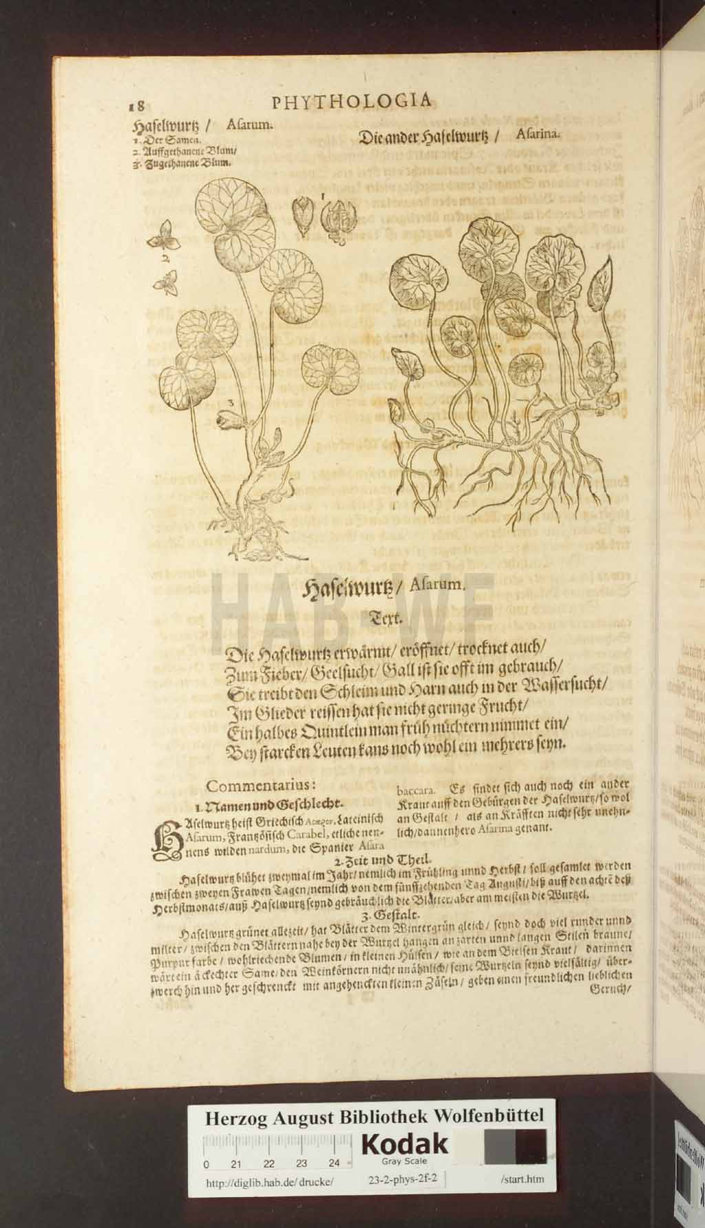 http://diglib.hab.de/drucke/23-2-phys-2f-2/00018.jpg