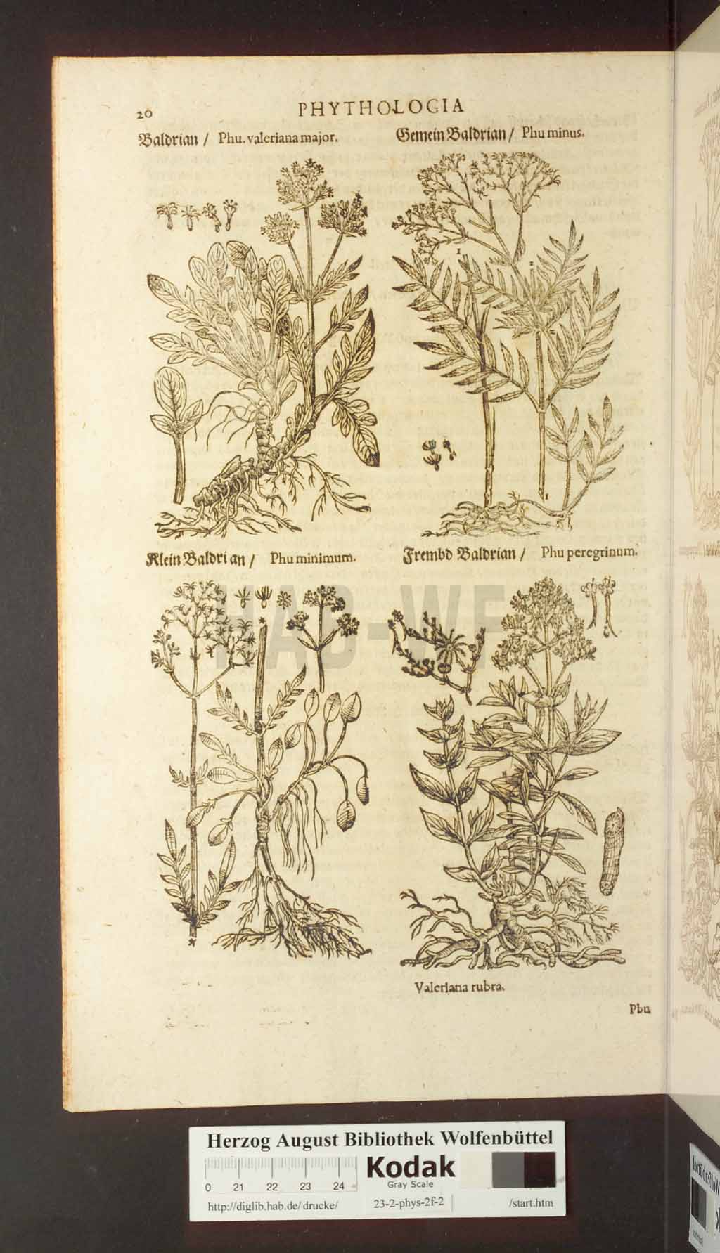 http://diglib.hab.de/drucke/23-2-phys-2f-2/00020.jpg