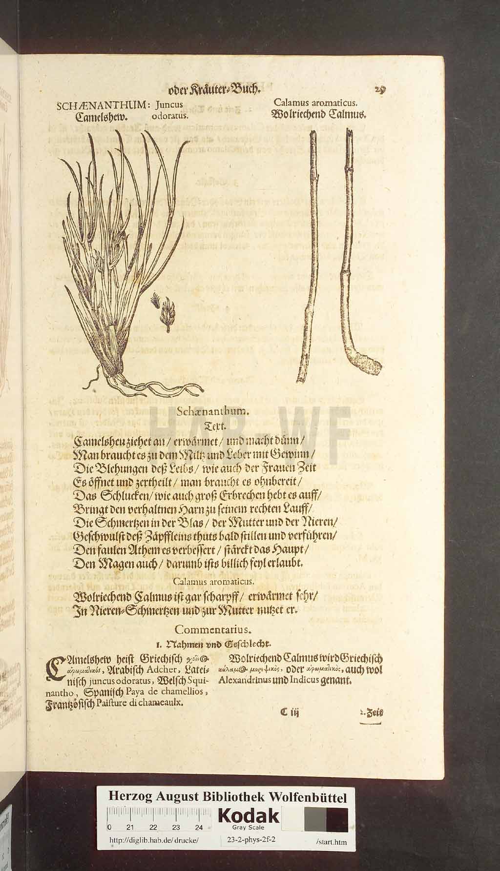 http://diglib.hab.de/drucke/23-2-phys-2f-2/00029.jpg