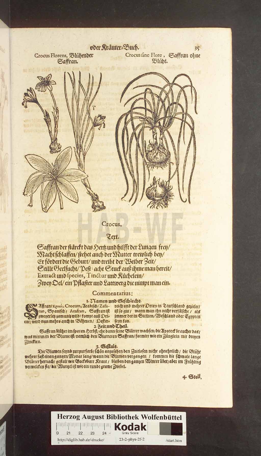 http://diglib.hab.de/drucke/23-2-phys-2f-2/00035.jpg