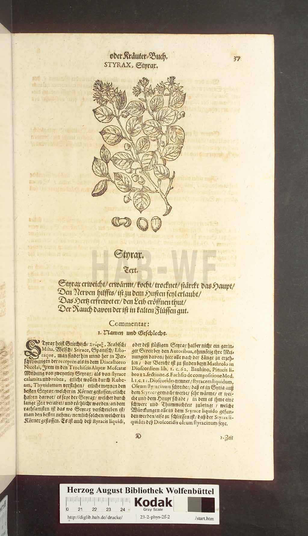 http://diglib.hab.de/drucke/23-2-phys-2f-2/00037.jpg