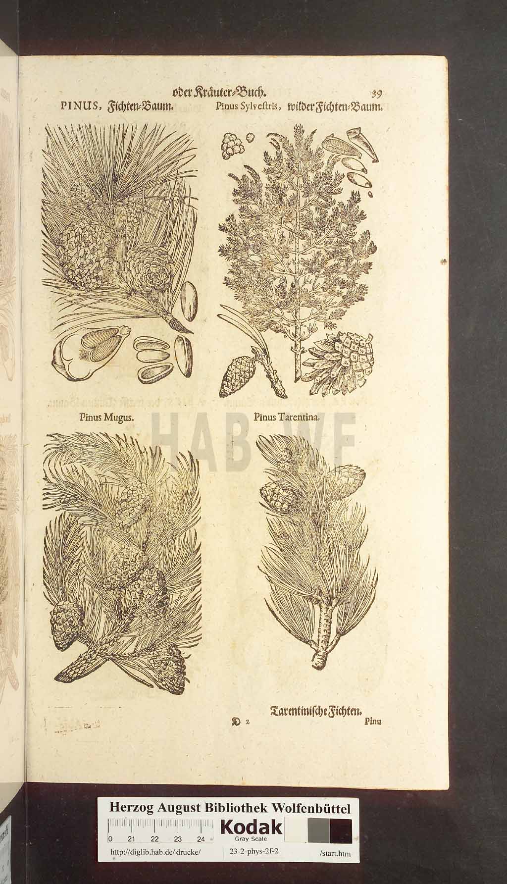 http://diglib.hab.de/drucke/23-2-phys-2f-2/00039.jpg