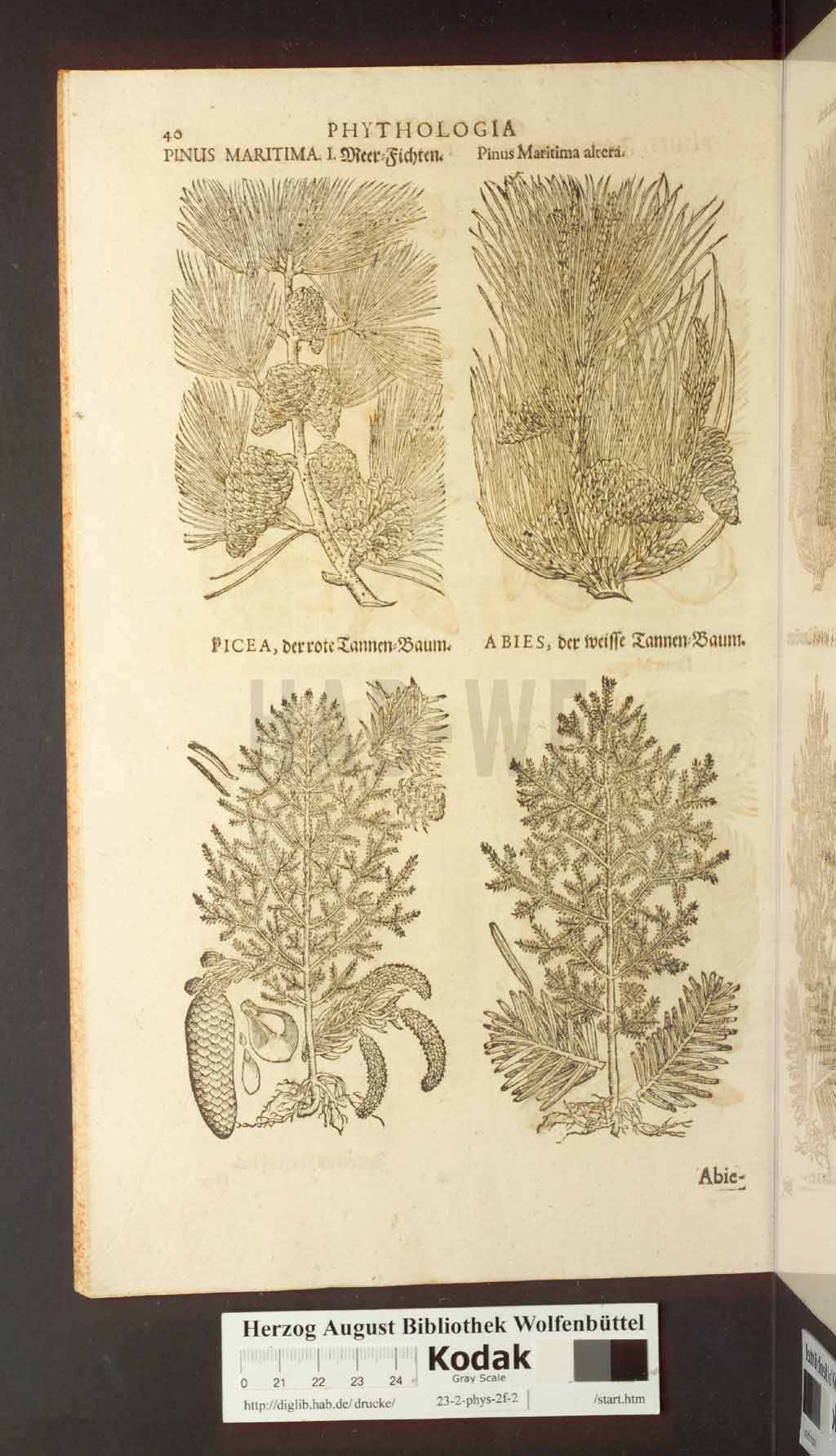 http://diglib.hab.de/drucke/23-2-phys-2f-2/00040.jpg