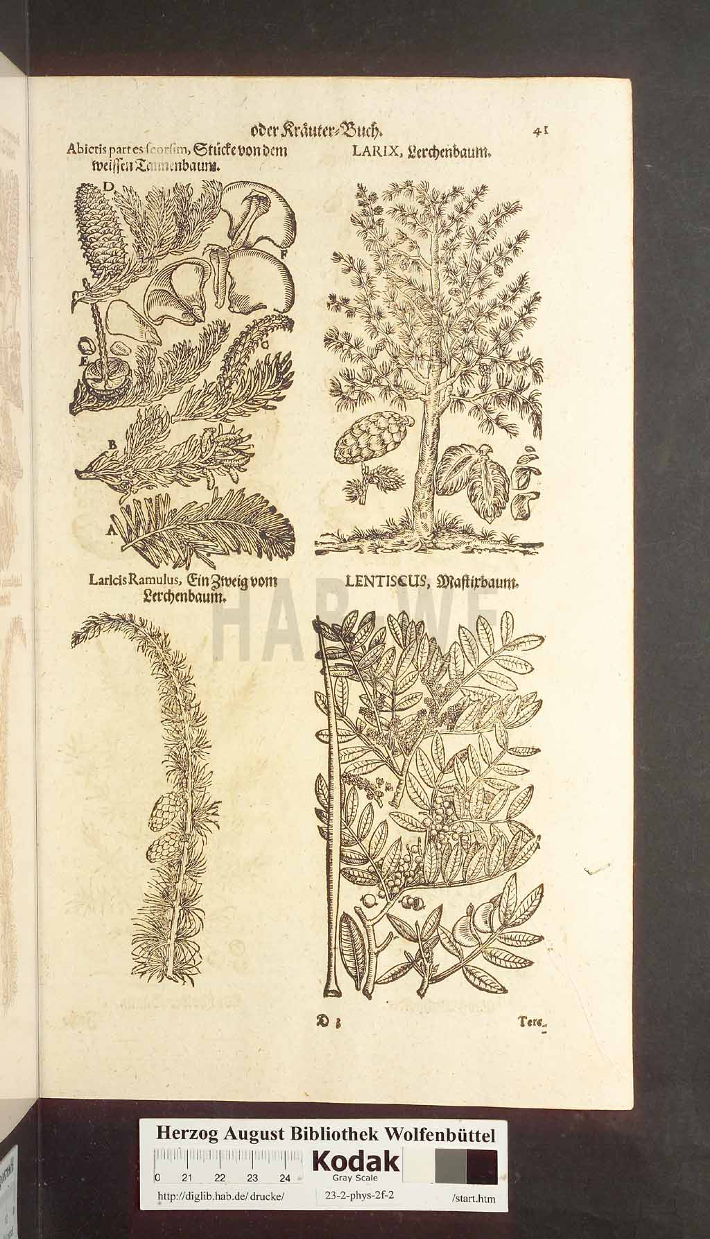 http://diglib.hab.de/drucke/23-2-phys-2f-2/00041.jpg
