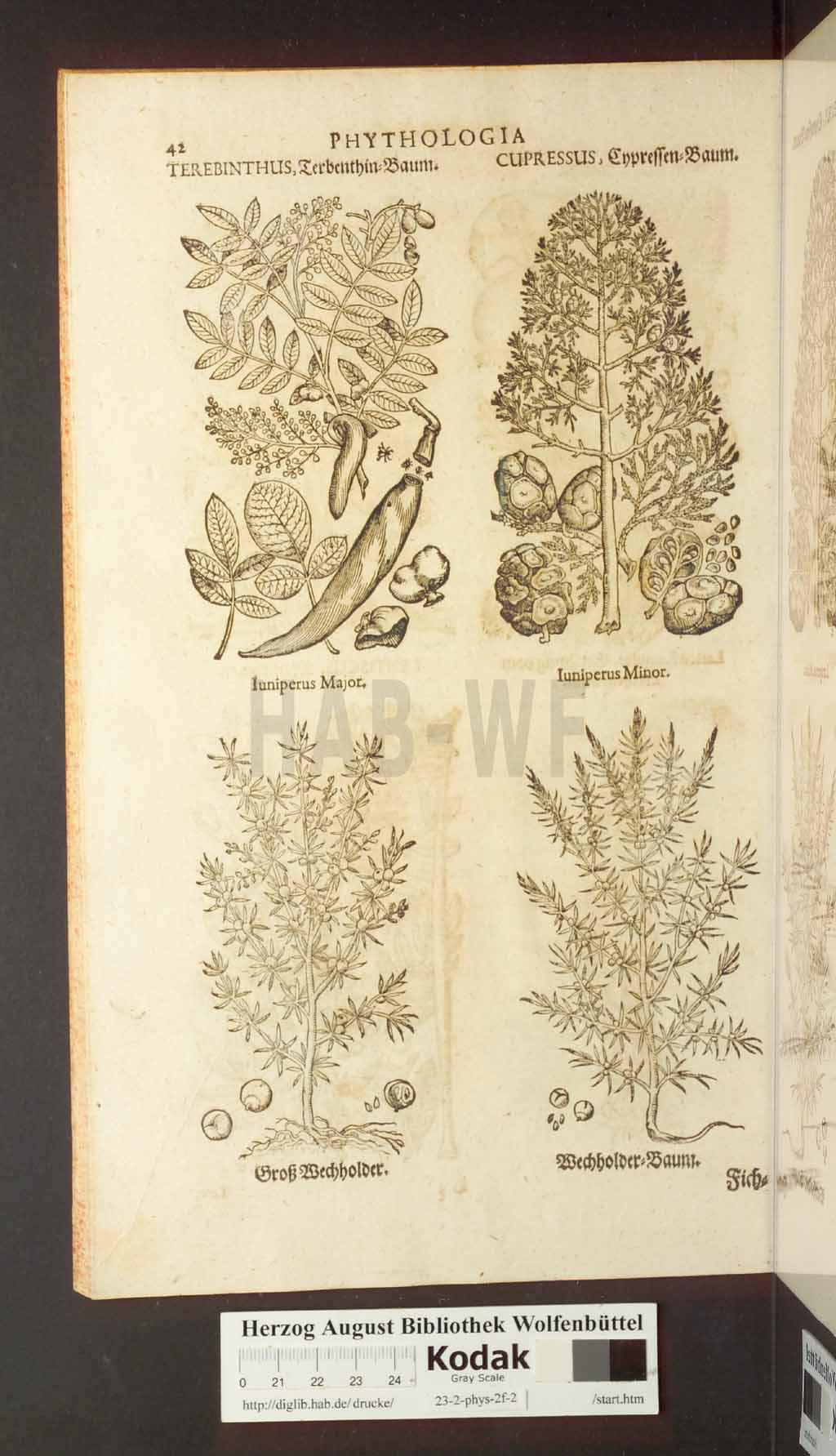 http://diglib.hab.de/drucke/23-2-phys-2f-2/00042.jpg